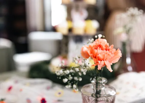 Baby shower photograph