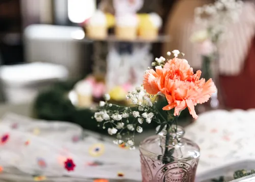 Baby shower photograph